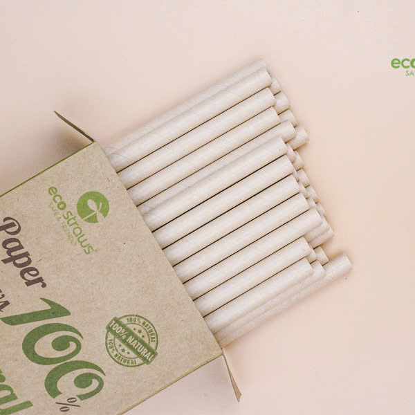 Thiết kế hộp đựng ống hút sinh học, phổ biến hiên nạy